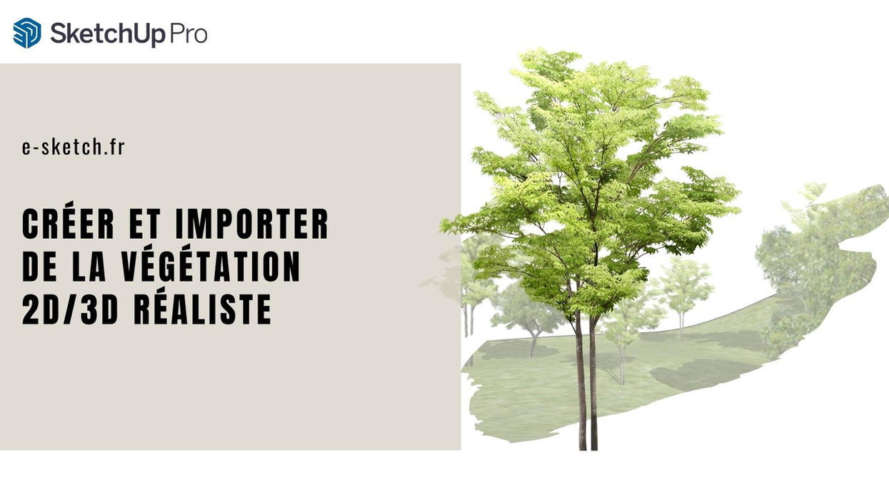 Créer et Importer de la Végétation sur SketchUp